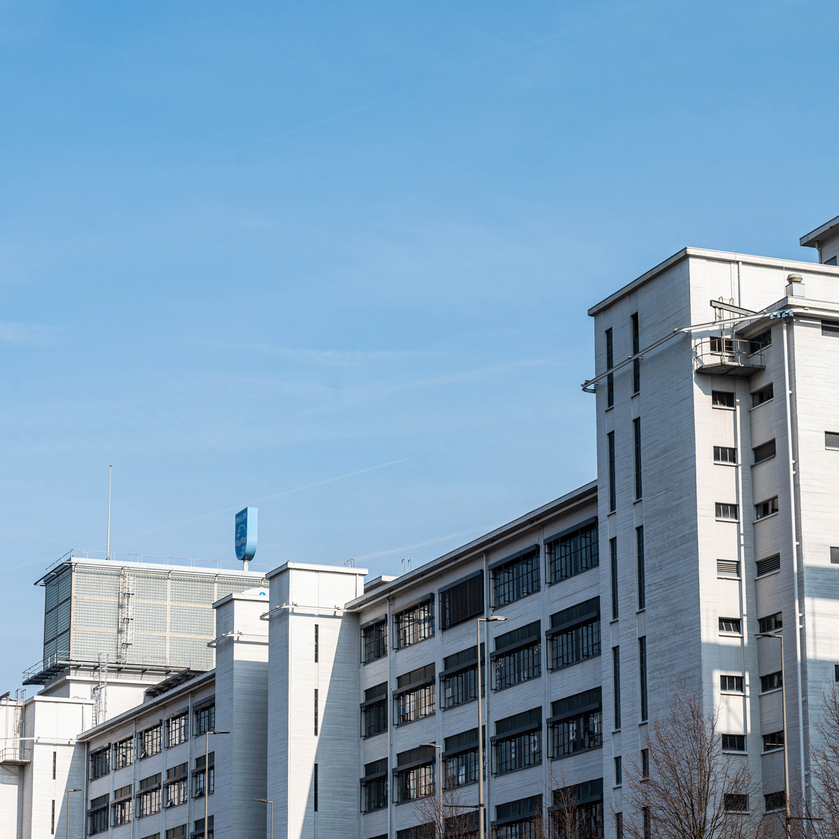 010 Strijps