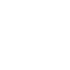 Icon Twitter